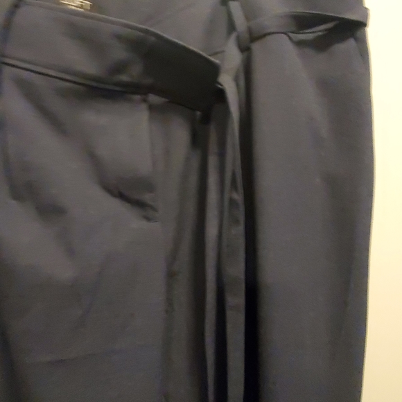 BNWT Loft Plus Pants - Picture 3 of 3